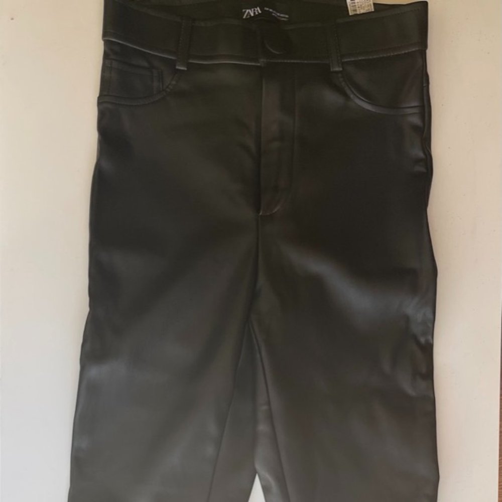 Zara Pleather Skinny Pants